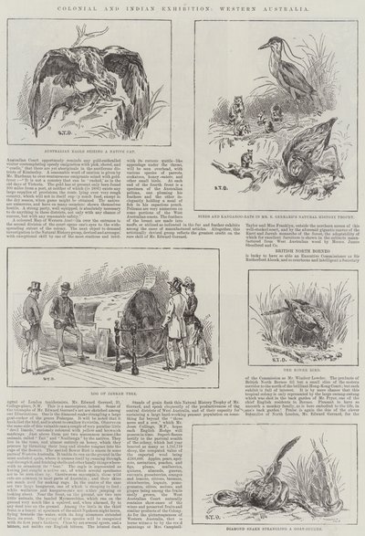 Exposition Coloniale et Indienne, Australie-Occidentale - S.T. Dadd